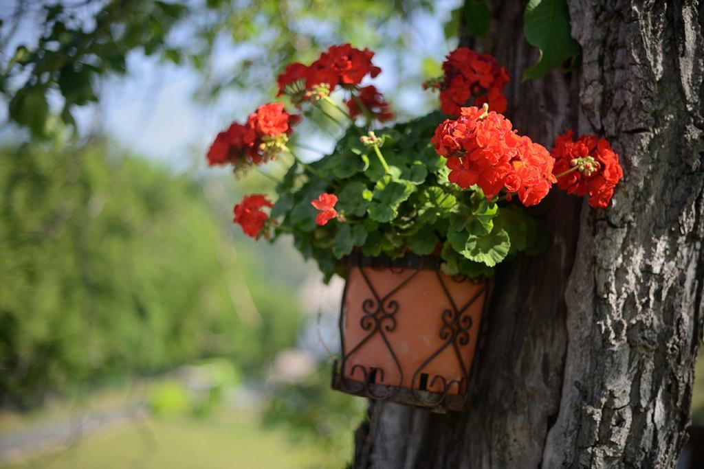 Bed And Breakfast Montino Cene Εξωτερικό φωτογραφία
